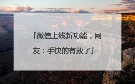 微信上线新功能，网友：手快的有救了