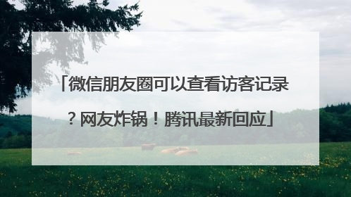 微信朋友圈可以查看访客记录？网友炸锅！腾讯最新回应