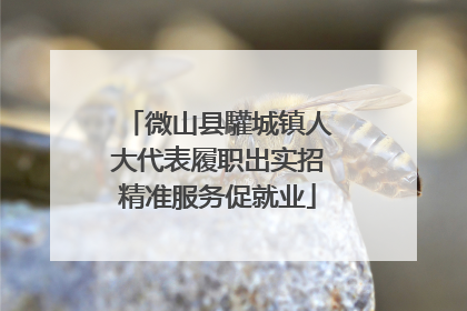 微山县驩城镇人大代表履职出实招精准服务促就业