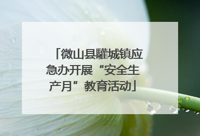 微山县驩城镇应急办开展“安全生产月”教育活动