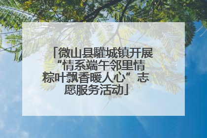微山县驩城镇开展“情系端午邻里情 粽叶飘香暖人心”志愿服务活动
