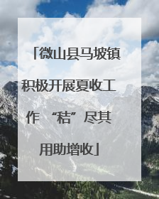 微山县马坡镇积极开展夏收工作 “秸”尽其用助增收