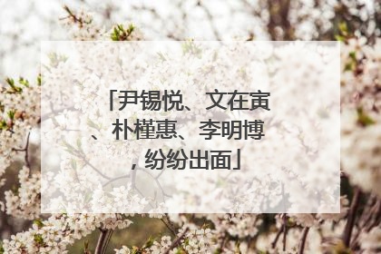 尹锡悦、文在寅、朴槿惠、李明博，纷纷出面
