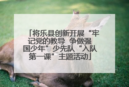 将乐县创新开展“牢记党的教导  争做强国少年”少先队“入队第一课”主题活动