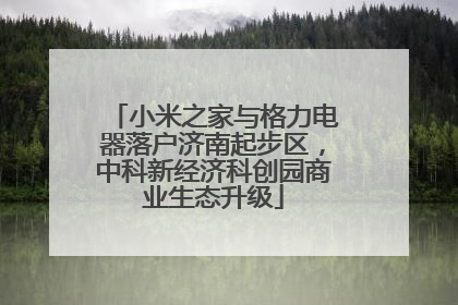 小米之家与格力电器落户济南起步区，中科新经济科创园商业生态升级
