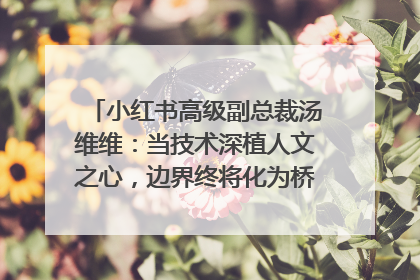 小红书高级副总裁汤维维：当技术深植人文之心，边界终将化为桥梁｜聚焦2025文化强国建设高峰论坛