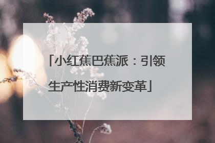 小红蕉巴蕉派：引领生产性消费新变革