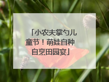 小农夫掌勺儿童节！萌娃自种自烹田园宴