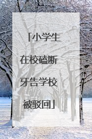 小学生在校磕断牙告学校被驳回