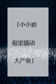 小小碧根果撬动大产业