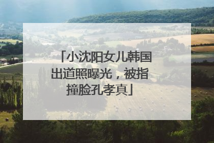 小沈阳女儿韩国出道照曝光，被指撞脸孔孝真