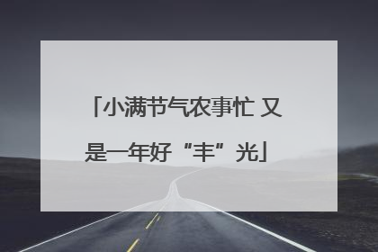 小满节气农事忙 又是一年好“丰”光