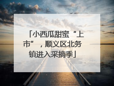 小西瓜甜蜜“上市”，顺义区北务镇进入采摘季