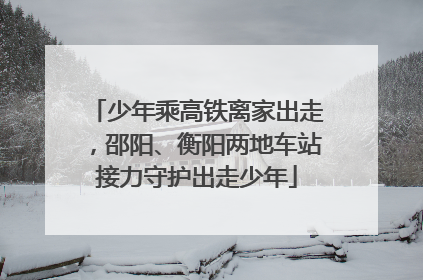 少年乘高铁离家出走，邵阳、衡阳两地车站接力守护出走少年