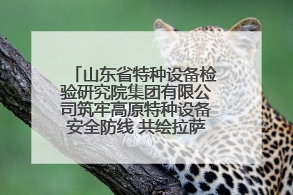 山东省特种设备检验研究院集团有限公司筑牢高原特种设备安全防线 共绘拉萨美好生活画卷