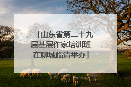 山东省第二十九届基层作家培训班在聊城临清举办
