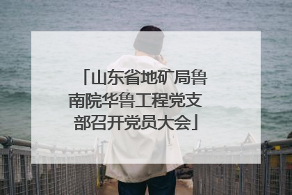 山东省地矿局鲁南院华鲁工程党支部召开党员大会