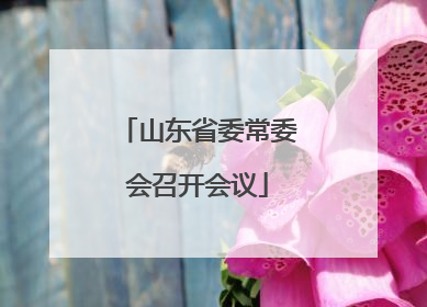 山东省委常委会召开会议