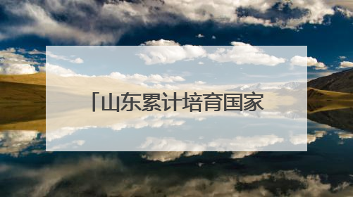 山东累计培育国家级“数字领航”企业18家 其中民营企业牵头10家