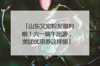 山东又宠粉发福利啦！六一端午出游，美团优惠券这样领