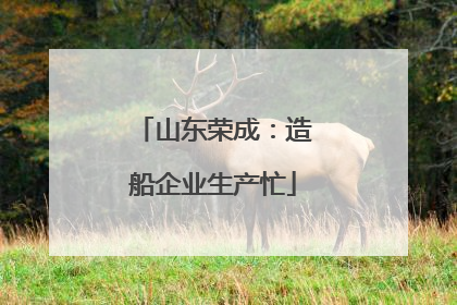 山东荣成：造船企业生产忙
