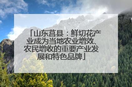 山东莒县：鲜切花产业成为当地农业增效、农民增收的重要产业发展和特色品牌