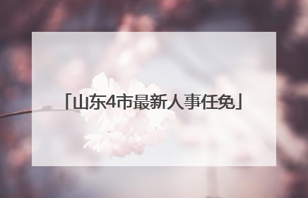 山东4市最新人事任免