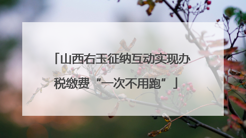 山西右玉征纳互动实现办税缴费“一次不用跑”