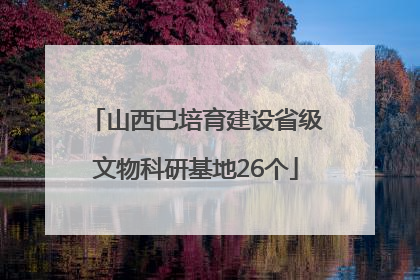 山西已培育建设省级文物科研基地26个