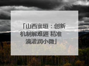 山西襄垣：创新机制解难题 精准滴灌润小微