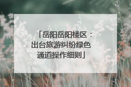 岳阳岳阳楼区：出台旅游纠纷绿色通道操作细则