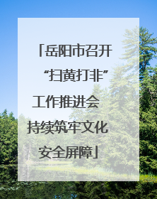 岳阳市召开“扫黄打非”工作推进会 持续筑牢文化安全屏障