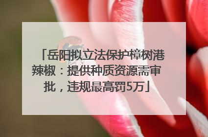 岳阳拟立法保护樟树港辣椒：提供种质资源需审批，违规最高罚5万