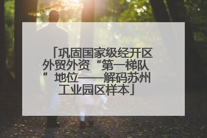 巩固国家级经开区外贸外资“第一梯队”地位——解码苏州工业园区样本
