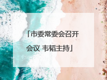 市委常委会召开会议 韦韬主持