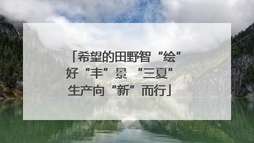 希望的田野智“绘”好“丰”景 “三夏”生产向“新”而行