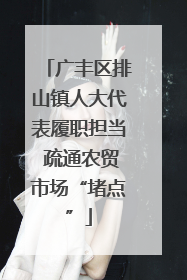 广丰区排山镇人大代表履职担当 疏通农贸市场“堵点”