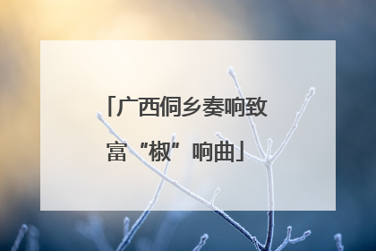 广西侗乡奏响致富“椒”响曲