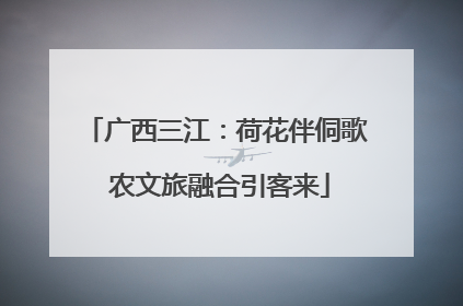 广西三江：荷花伴侗歌 农文旅融合引客来
