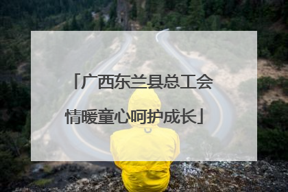 广西东兰县总工会情暖童心呵护成长