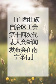 广西壮族自治区工会第十四次代表大会新闻发布会在南宁举行