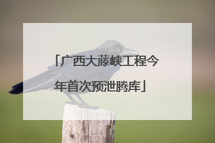 广西大藤峡工程今年首次预泄腾库