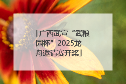 广西武宣“武粮园杯”2025龙舟邀请赛开桨