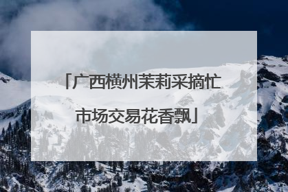广西横州茉莉采摘忙 市场交易花香飘
