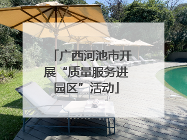 广西河池市开展“质量服务进园区”活动