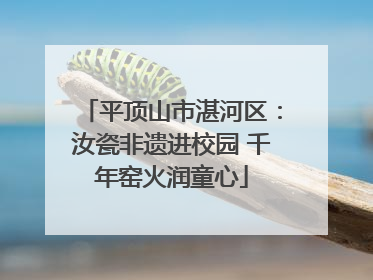 平顶山市湛河区：汝瓷非遗进校园 千年窑火润童心