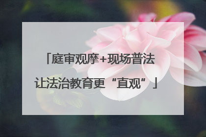 庭审观摩+现场普法 让法治教育更“直观”