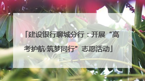 建设银行聊城分行：开展“高考护航·筑梦同行”志愿活动