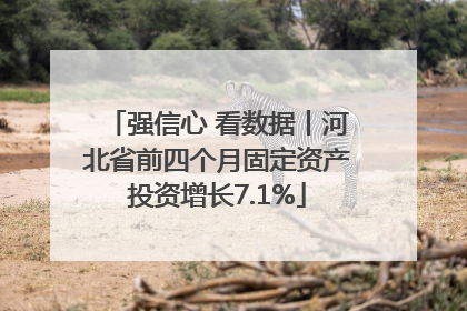 强信心 看数据丨河北省前四个月固定资产投资增长7.1%