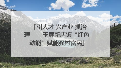 引人才 兴产业 抓治理——玉屏新店镇“红色动能”赋能强村富民